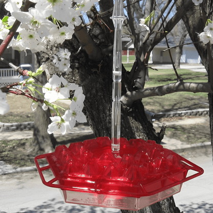 Transparent & Washable Mary's Hummingbird Feeder
