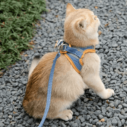 Glow-in-the-Dark Luminous Adjustable Cat Vest Harness & Leash Set: Keep Your Furry Friend Around