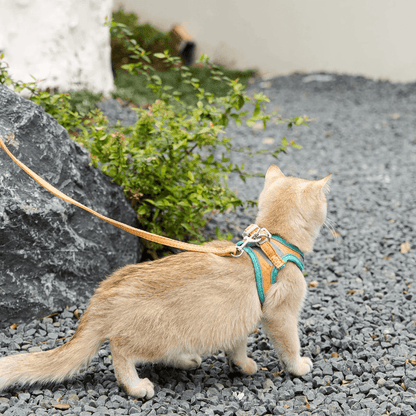 Glow-in-the-Dark Luminous Adjustable Cat Vest Harness & Leash Set: Keep Your Furry Friend Around