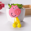 Option BMWJCX0WFX-Pig