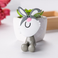 Option BMWJCX0WFX-Rabbit