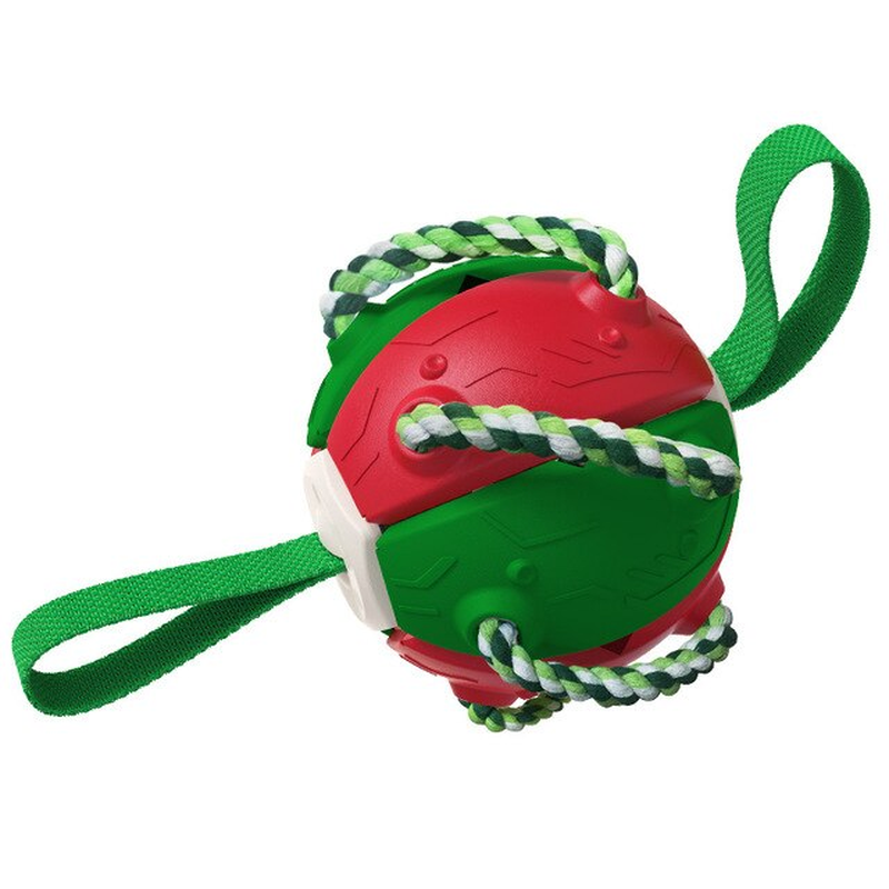 Bouncing Frisbee Ball Interactive Dog Toy