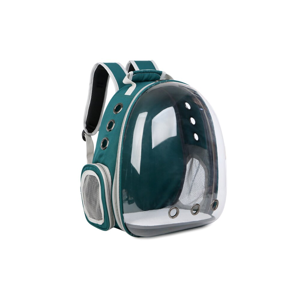 Clear Cat Backpack Carrier with Ventilated Space Capsule Design for Travel