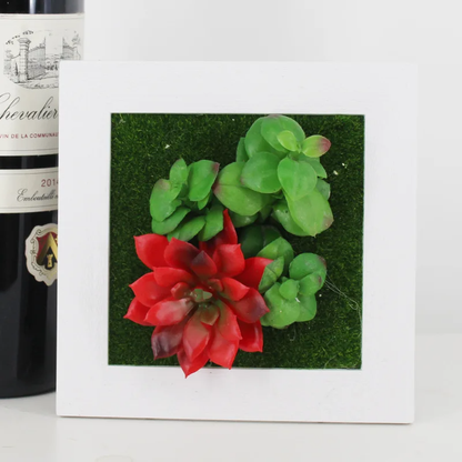 Succulent Wall Hanger Frame