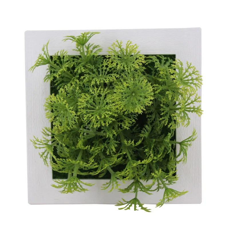 Succulent Wall Hanger Frame
