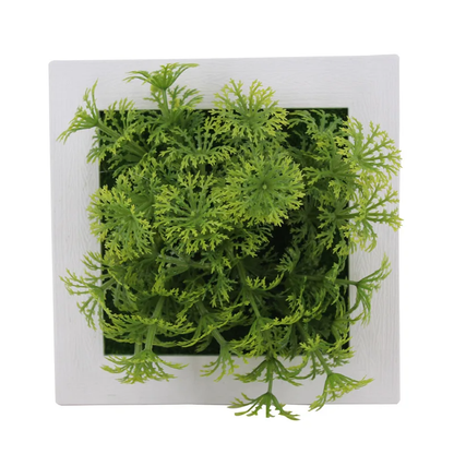 Succulent Wall Hanger Frame