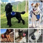 Outdoor Dog Backpack