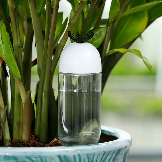 Indoor Drip Irrigation System for Elk & Christmas Tree Potted Plants