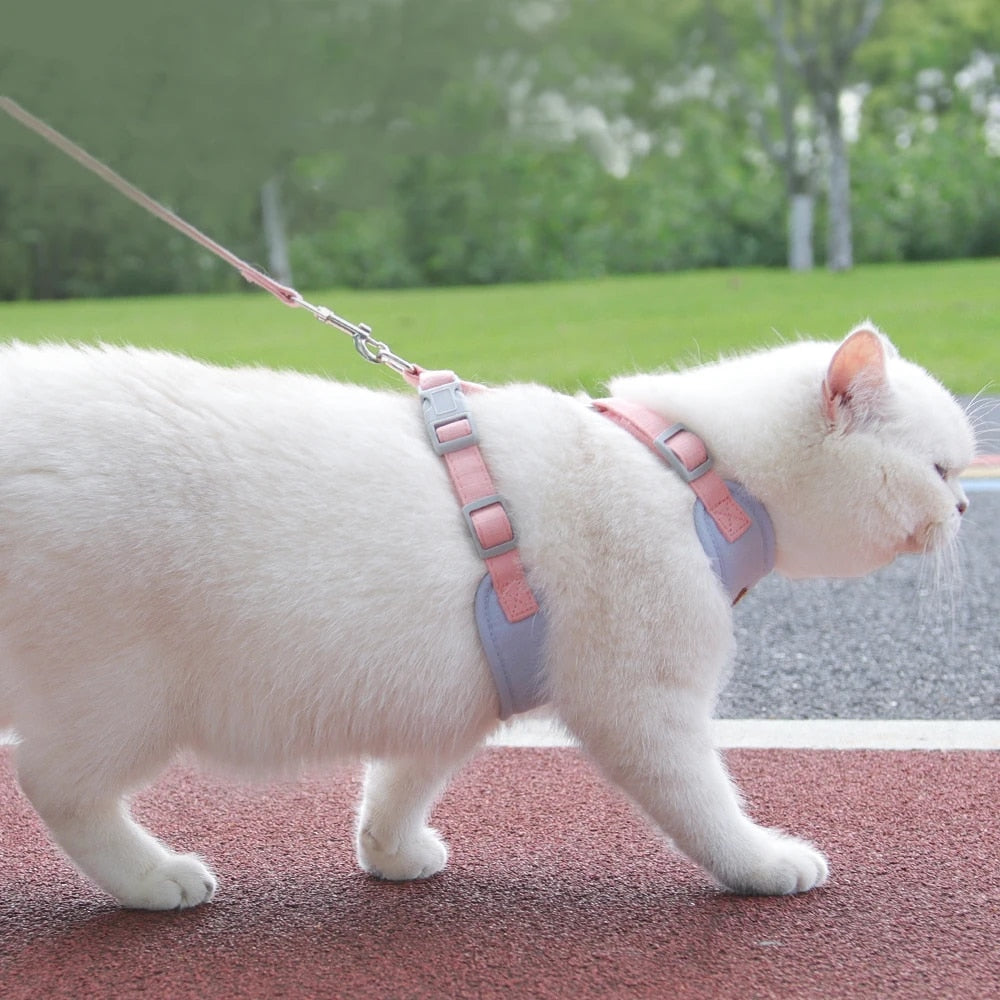 Adjustable Escape-Proof Cat Dog Harness with Leash - Small Pets Vest for Chihuahusa