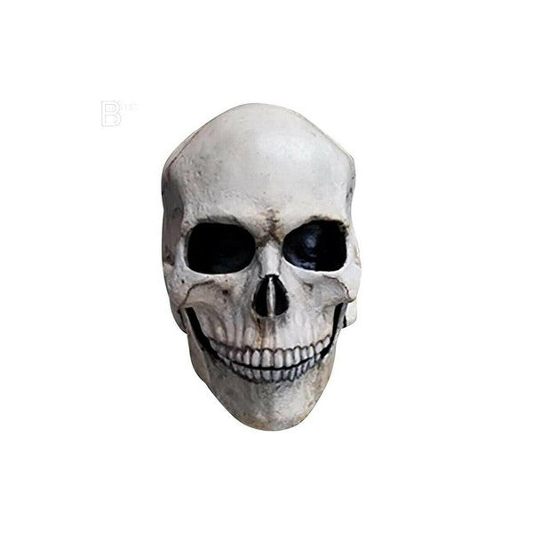 Realistic Human Skull Mask with Moving Jaw – Perfect Halloween Gift