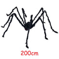200cm