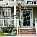 5m web