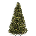 15ft
