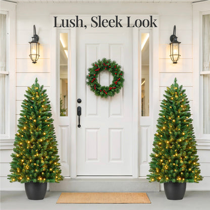 Pre-Lit Potted Christmas Tree w/ Twinkling White LEDs