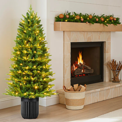 Pre-Lit Potted Christmas Tree w/Twinkling White & Multi LEDs