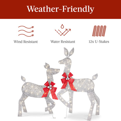 3-Piece Lighted Christmas Deer Set Outdoor Decor with 175 LED Lights