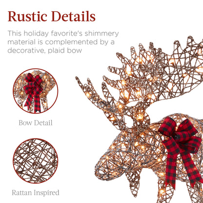 2-Piece Moose Family Lighted Outdoor Christmas Decoration Set w/ LED Lights