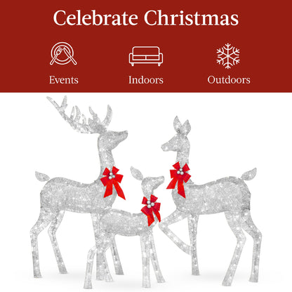 3-Piece Lighted Christmas Deer Set Outdoor Decor with LED Lights