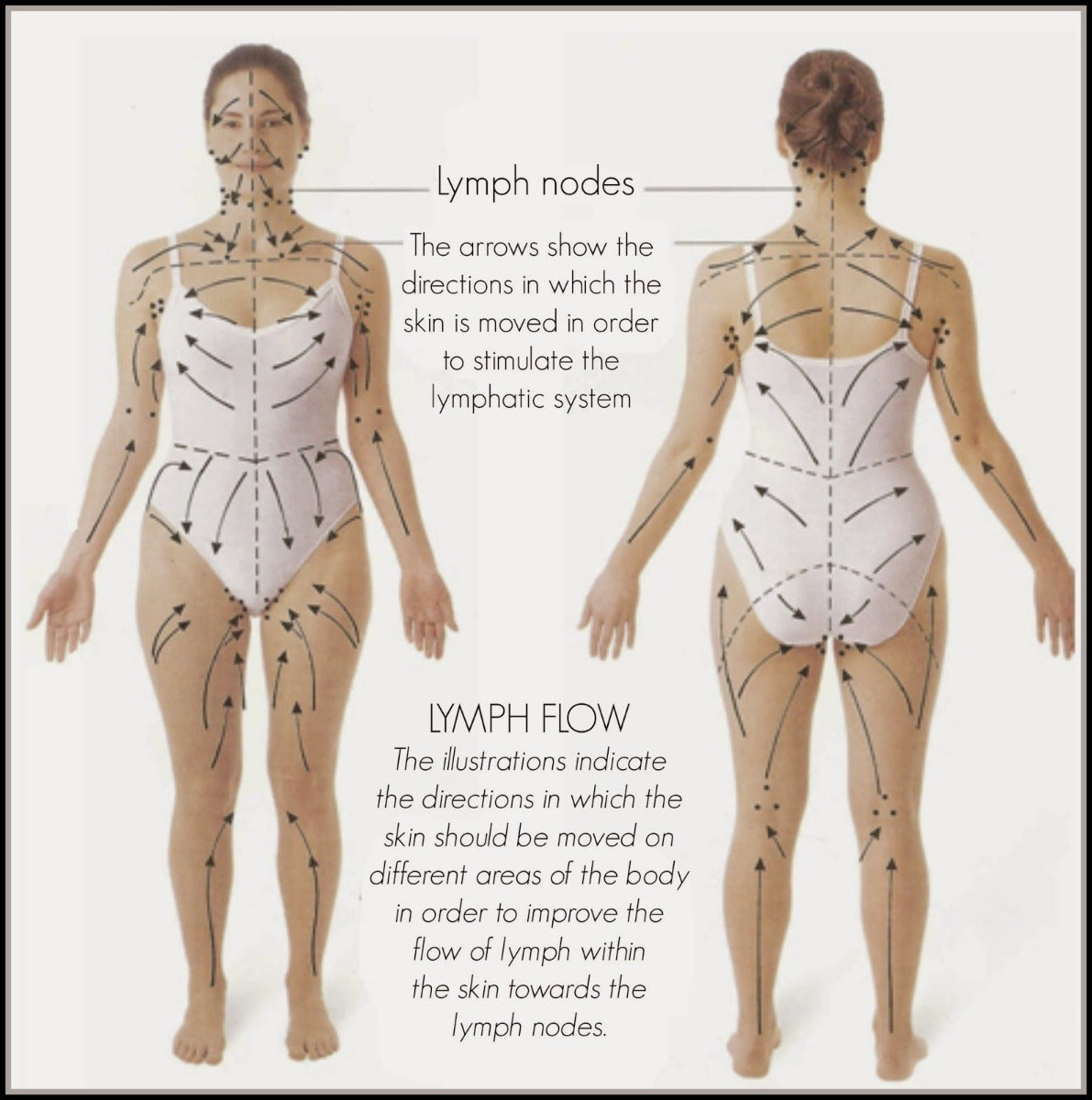 Lymphatic Drainage Ginger Essential Oil – Natural Swelling Relief