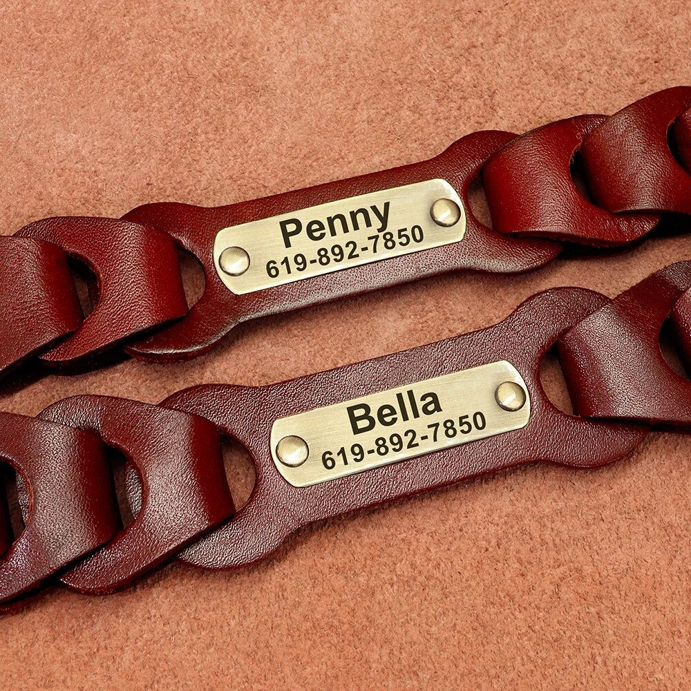 Custom Genuine Leather Dog Collar | Personalized Pet ID Collar for Medium & Large Dogs