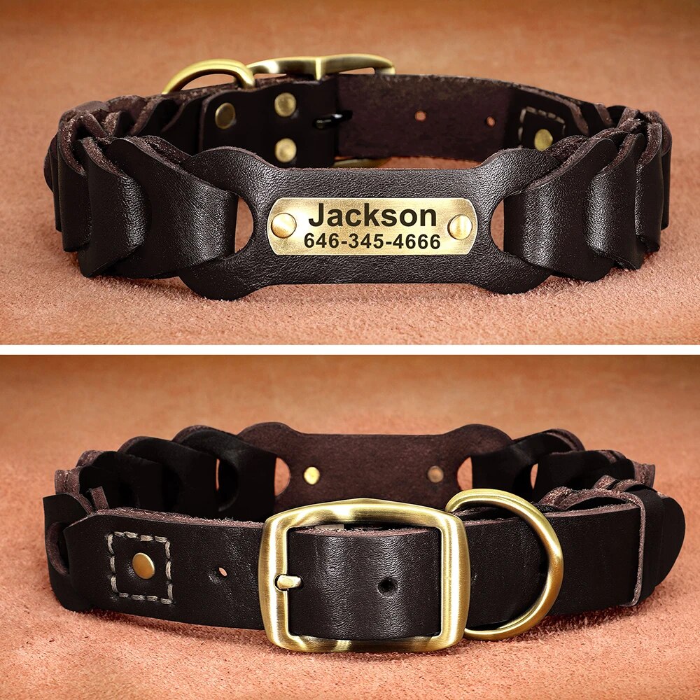 Custom Genuine Leather Dog Collar | Personalized Pet ID Collar for Medium & Large Dogs