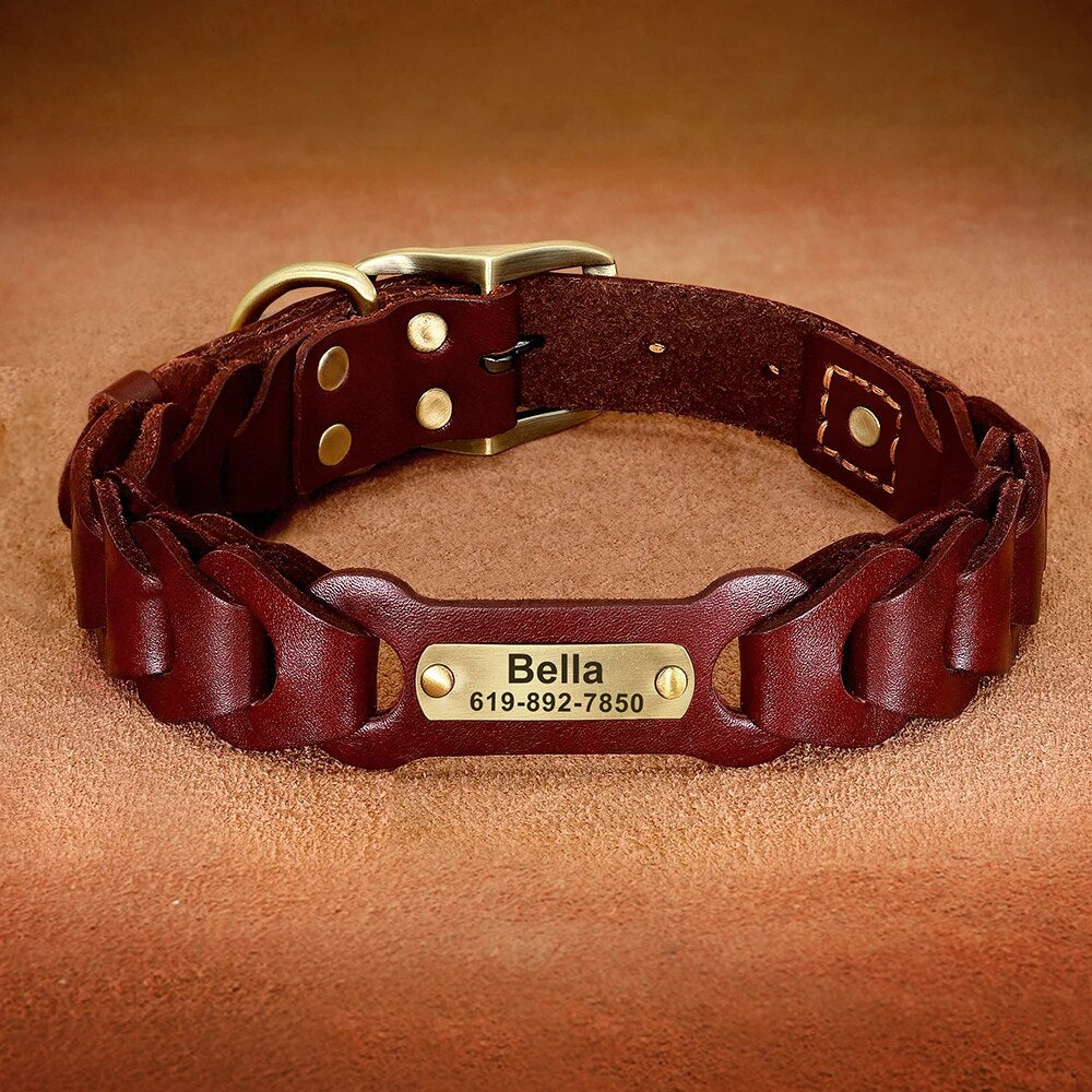 Custom Genuine Leather Dog Collar | Personalized Pet ID Collar for Medium & Large Dogs