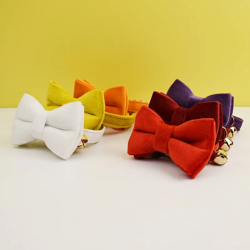 Custom Velvet Cat Collar with ID Tag & Bow Tie | Personalized Kitten Necklace
