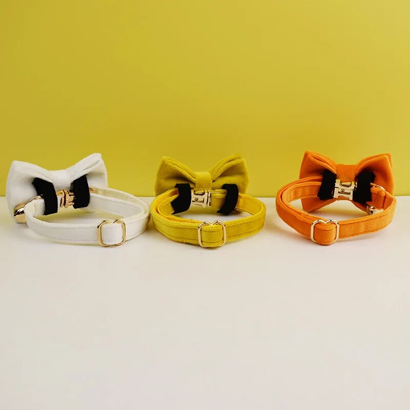 Custom Velvet Cat Collar with ID Tag & Bow Tie | Personalized Kitten Necklace