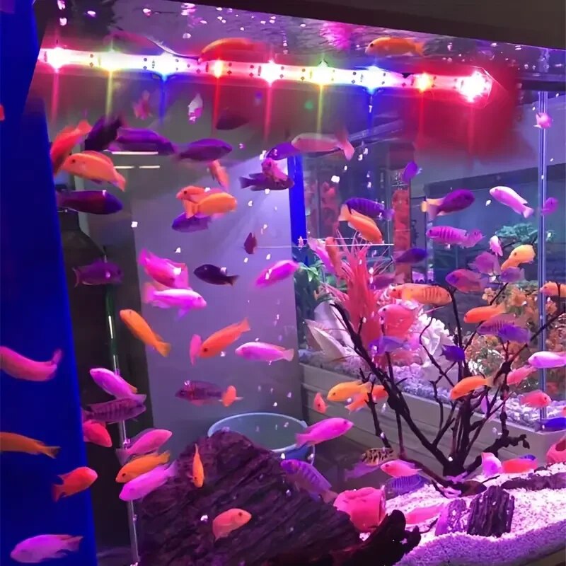 Aquarium LED Submersible Mood Lamp: USB Waterproof Fish Tank Decor & Plant Grow Light