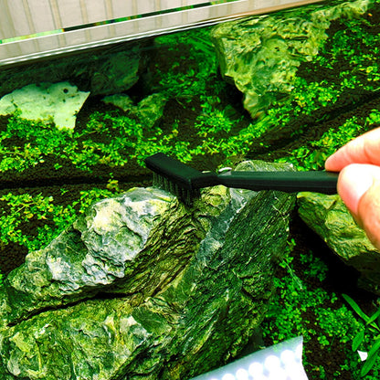 Aquarium Algae Cleaning Brush: Steel Wire & Nylon Cleaner