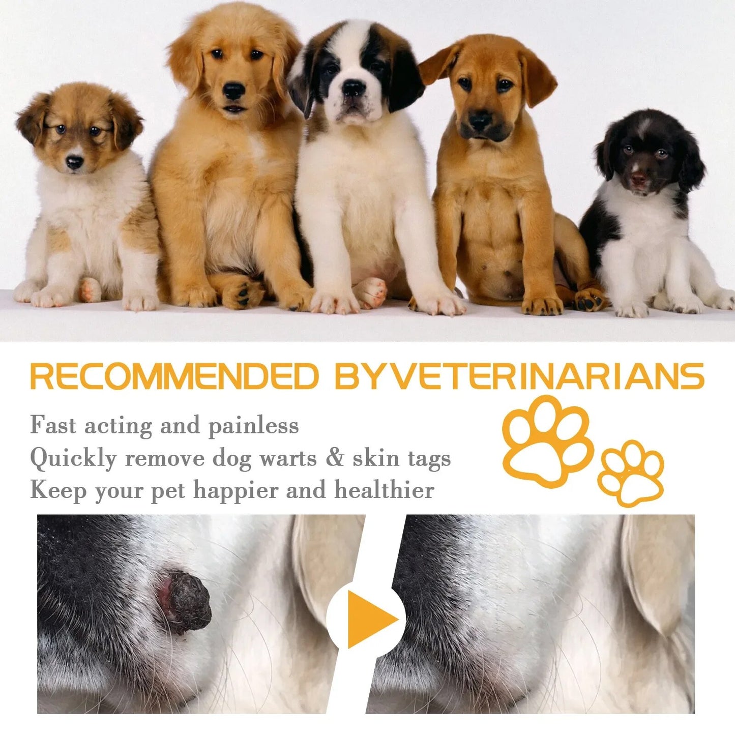 Dog Wart Remover Cream for Painlessly Removing Moles, Stains, Papillomas, and Skin Tags