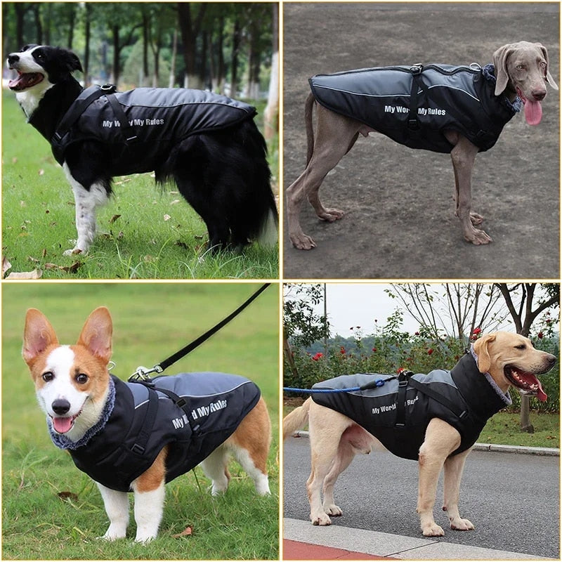 Large Dog Winter Coat: Waterproof Jacket with Harness & Furry Collar