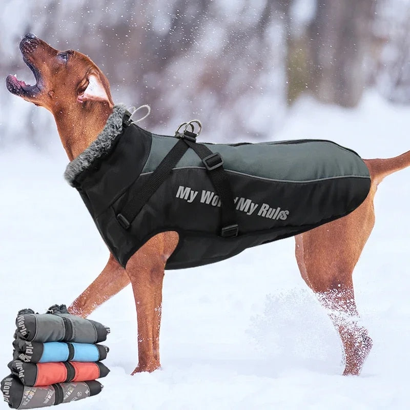 Large Dog Winter Coat: Waterproof Jacket with Harness & Furry Collar