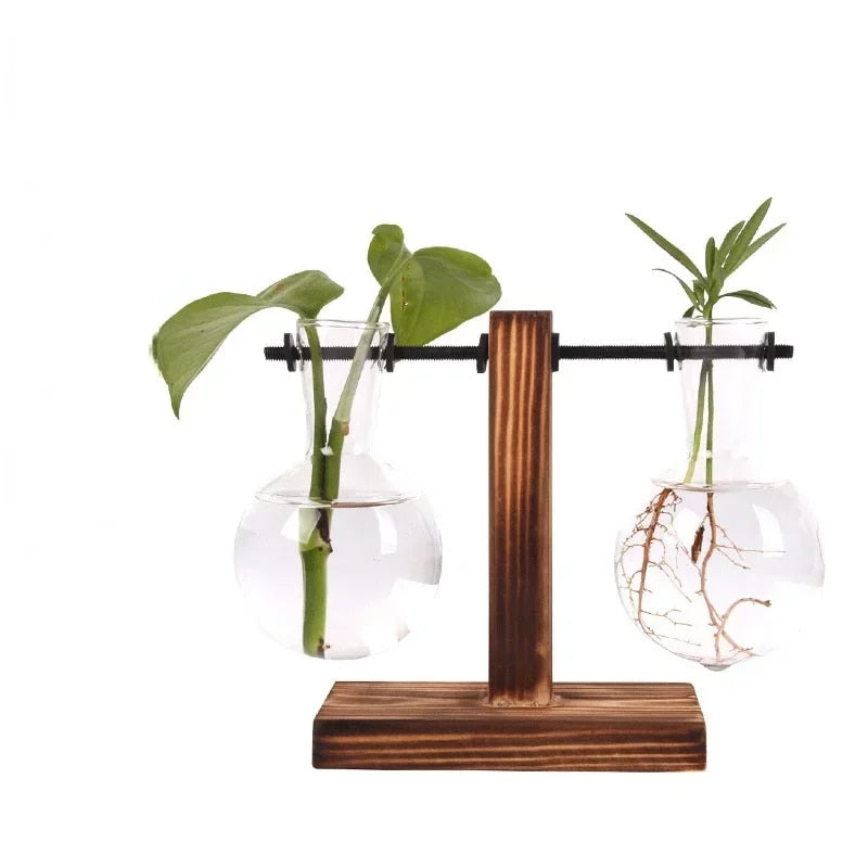 Hydroponic Plant Terrarium Vase: Glass Bottle Decoration for Home & Office Greenery - Small Potted Desktop Decor