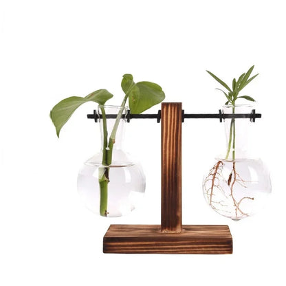 Hydroponic Plant Terrarium Vase: Glass Bottle Decoration for Home & Office Greenery - Small Potted Desktop Decor