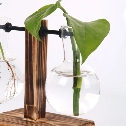 Hydroponic Plant Terrarium Vase: Glass Bottle Decoration for Home & Office Greenery - Small Potted Desktop Decor