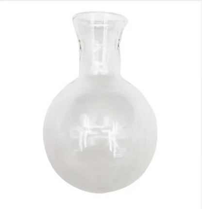 Hydroponic Plant Terrarium Vase: Glass Bottle Decoration for Home & Office Greenery - Small Potted Desktop Decor