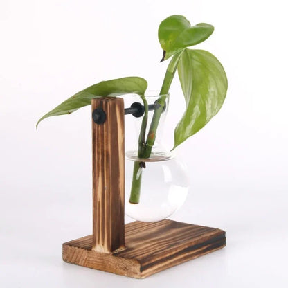 Hydroponic Plant Terrarium Vase: Glass Bottle Decoration for Home & Office Greenery - Small Potted Desktop Decor