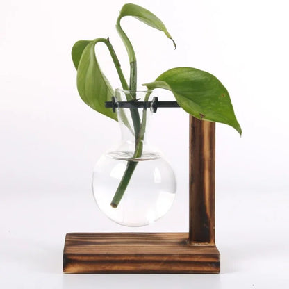 Hydroponic Plant Terrarium Vase: Glass Bottle Decoration for Home & Office Greenery - Small Potted Desktop Decor