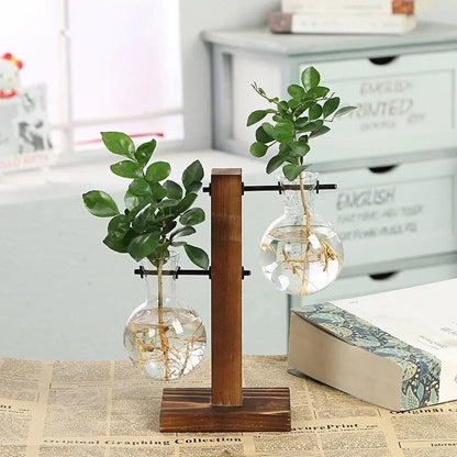 Hydroponic Plant Terrarium Vase: Glass Bottle Decoration for Home & Office Greenery - Small Potted Desktop Decor