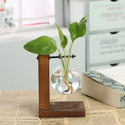 Hydroponic Plant Terrarium Vase: Glass Bottle Decoration for Home & Office Greenery - Small Potted Desktop Decor