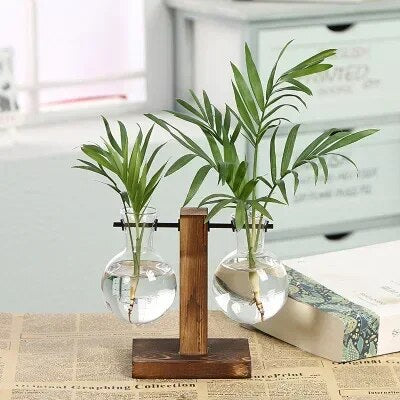 Hydroponic Plant Terrarium Vase: Glass Bottle Decoration for Home & Office Greenery - Small Potted Desktop Decor