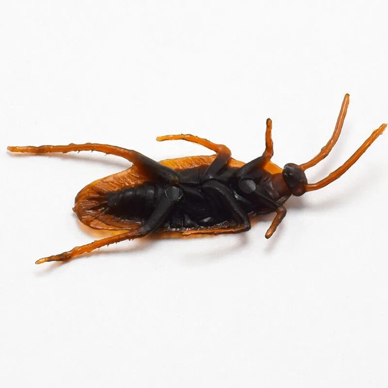 Realistic Fake Roaches Prank Bugs for Halloween Party Decorations