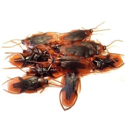 Realistic Fake Roaches Prank Bugs for Halloween Party Decorations