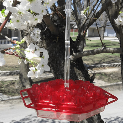 Invite the Splendor - Transparent Hummingbird Feeder with Perch, Easy to Refill & Clean Design