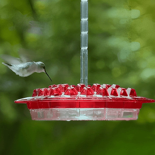 Invite the Splendor - Transparent Hummingbird Feeder with Perch, Easy to Refill & Clean Design