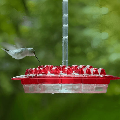 Invite the Splendor - Transparent Hummingbird Feeder with Perch, Easy to Refill & Clean Design