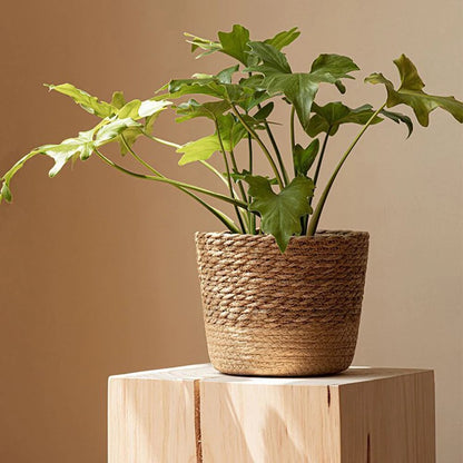 Handmade Rattan Flowerpot Basket for Garden: Woven Straw Weaving Plant Pot Storage