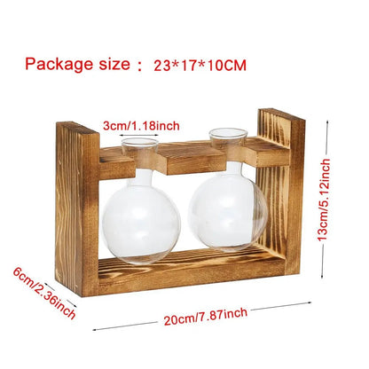Transparent Glass Avocado Seed Starter Vase, Plant Growing Kit for Gardening Enthusiasts