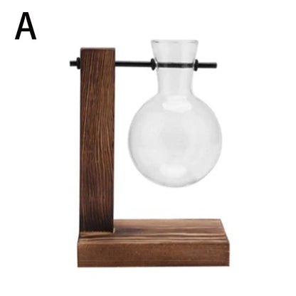 Transparent Glass Avocado Seed Starter Vase, Plant Growing Kit for Gardening Enthusiasts